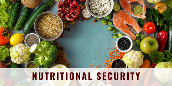 Variety of fresh food arranged in an expanding circle on a turquoise background; "Nutritional Security" across the bottom