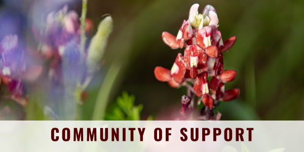 Close up of an Aggie Maroon-bonnet in a field of maroon-bonnets; "Community of Support" across the bottom.